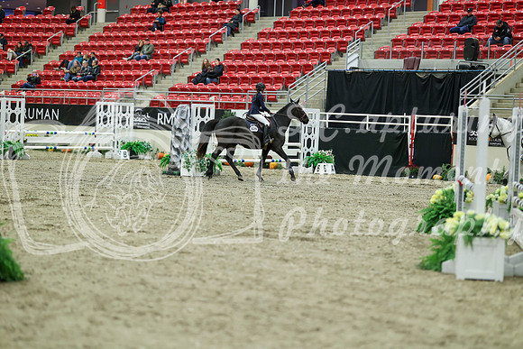 00196 - Mara - 2026 Royal West - Saturday October 2th
