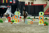 02034 - Mara - 2026 Royal West - Thursday October 15th