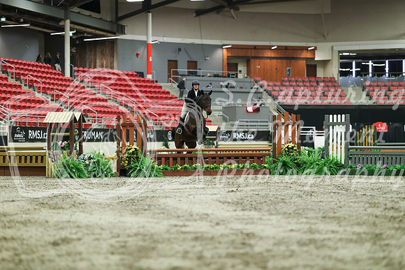 02343 - Mara - 2026 Royal West - Saturday October 17th