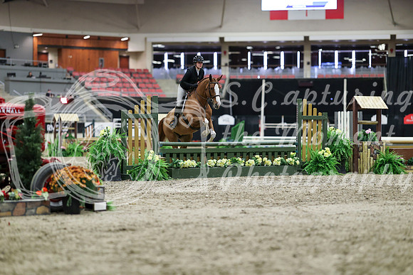 00500 - Mara - 2026 Royal West - Tuesday October 20th