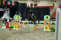 01196 - Mara - 2026 Royal West - Thursday October 15th