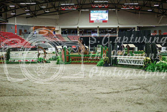 06943 - Mara - 2026 Royal West - Saturday October 17th