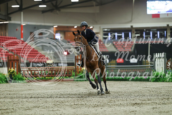 04968 - Mara - 2026 Royal West - Saturday October 17th