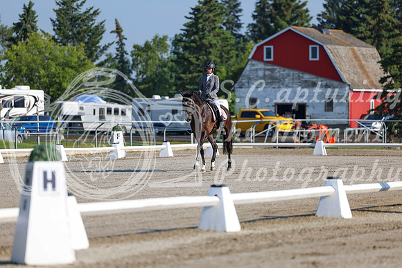2025 - Dressage Festival - Saturday July 5th - 00113