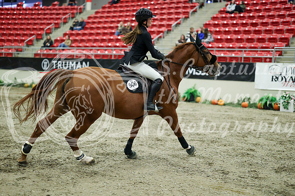 04197 - Mara - 2026 Royal West - Wednesday October 21st