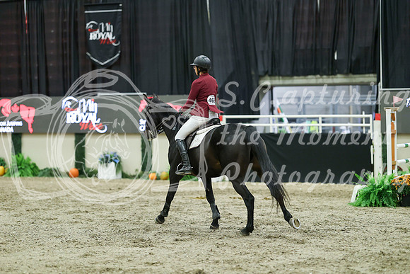 05383 - Mara - 2026 Royal West - Sunday October 18th