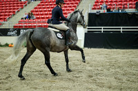 05363 - Mara - 2026 Royal West - Wednesday October 21st