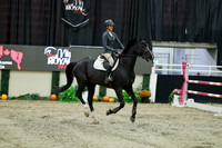 06925 - Mara - 2026 Royal West - Friday October 16th