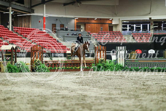 02398 - Mara - 2026 Royal West - Saturday October 17th