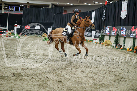 08201 - Mara - 2026 Royal West - Wednesday October 21st