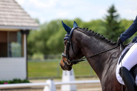 2025 - Dressage Festival - Saturday July 5th - 07483