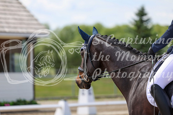 2025 - Dressage Festival - Saturday July 5th - 07483