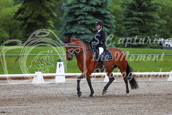 2025 - Dressage Festival - Sunday July 6th - 01064