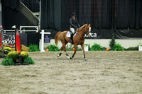06055 - Mara - 2026 Royal West - Sunday October 18th