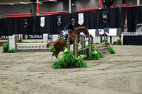 04050 - Mara - 2026 Royal West - Tuesday October 20th