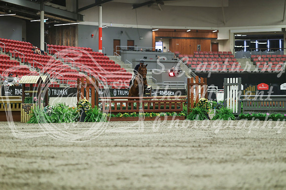 04958 - Mara - 2026 Royal West - Saturday October 17th