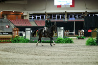 01187 - Mara - 2026 Royal West - Saturday October 17th