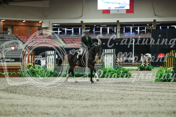 01187 - Mara - 2026 Royal West - Saturday October 17th