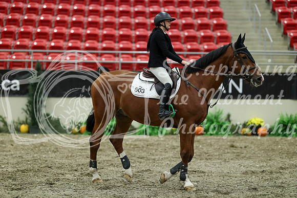 01345 - Mara - 2026 Royal West - Thursday October 15th