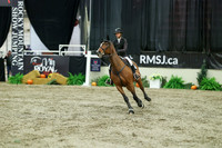 05018 - Mara - 2026 Royal West - Sunday October 18th