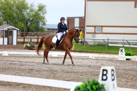 2025 - Dressage Festival - Sunday July 6th - 09019
