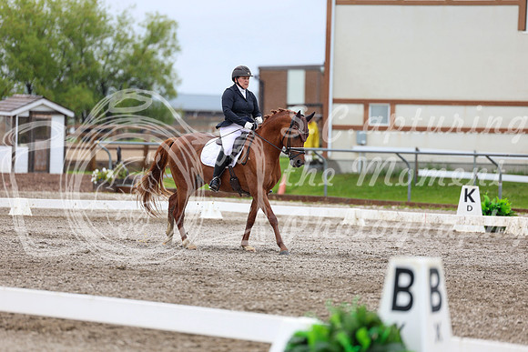 2025 - Dressage Festival - Sunday July 6th - 09019
