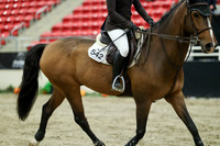 01058 - Mara - 2026 Royal West - Wednesday October 21st