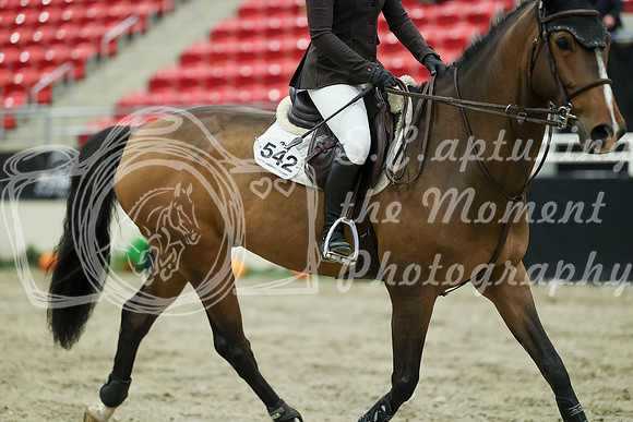 01058 - Mara - 2026 Royal West - Wednesday October 21st