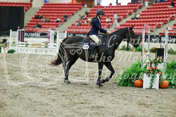 03063 - Mara - 2026 Royal West - Friday October 16th