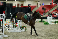 00179 - Mara - 2026 Royal West - Thursday October 15th
