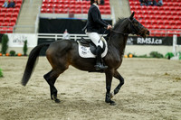 05734 - Mara - 2026 Royal West - Saturday October 24th