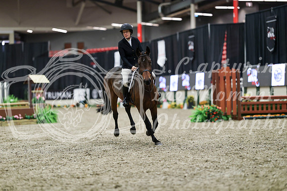 00206 - Mara - 2026 Royal West - Tuesday October 20th