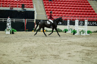 04583 - Mara - 2026 Royal West - Saturday October 24th
