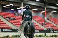 04781 - Mara - 2026 Royal West - Saturday October 17th