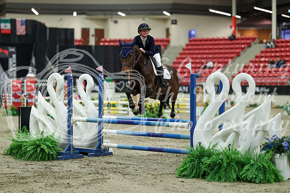 00726 - Mara - 2026 Royal West - Saturday October 2th