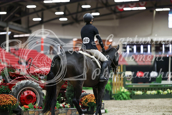 00519 - Mara - 2026 Royal West - Tuesday October 20th