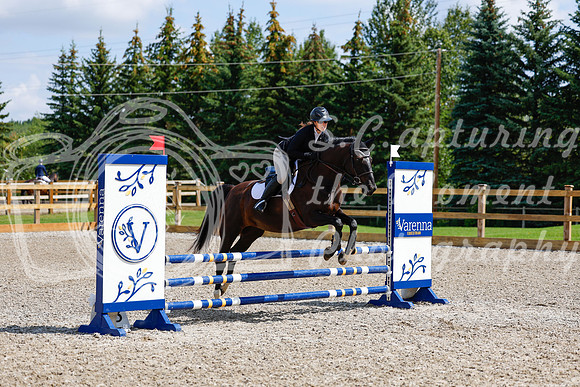 2025 - Haylee - Picco Horse Show - Sunday July 27th 03093