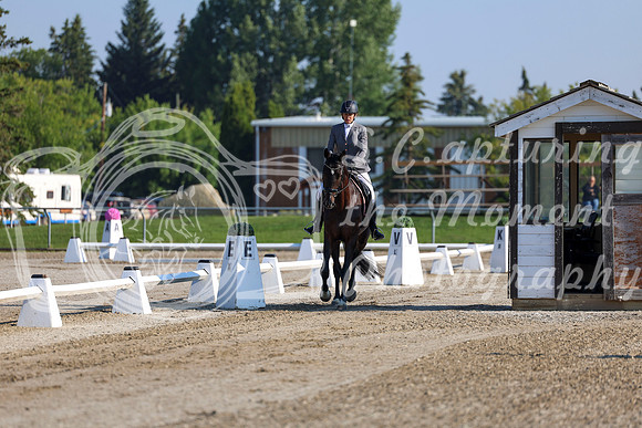 2025 - Dressage Festival - Saturday July 5th - 00096