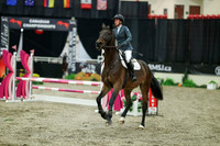 01021 - Mara - 2026 Royal West - Sunday October 18th