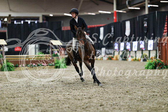 01309 - Mara - 2026 Royal West - Tuesday October 20th