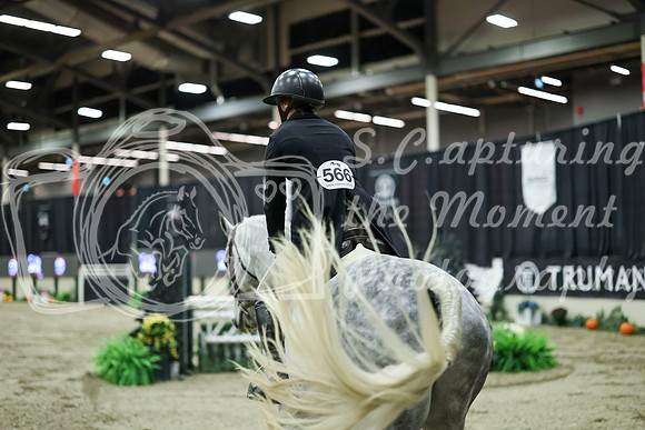 09200 - Mara - 2026 Royal West - Saturday October 17th