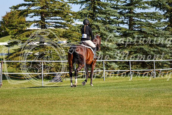 4125 - Shea - 2026 Harvest - Friday September 18th