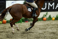 04023 - Mara - 2026 Royal West - Friday October 16th