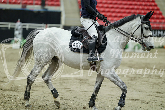 04700 - Mara - 2026 Royal West - Saturday October 24th
