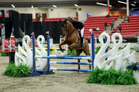 00556 - Mara - 2026 Royal West - Saturday October 2th