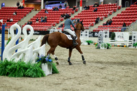 01196 - Mara - 2026 Royal West - Saturday October 2th
