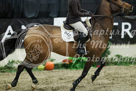 03807 - Mara - 2026 Royal West - Friday October 16th