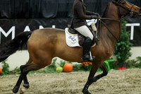 03806 - Mara - 2026 Royal West - Friday October 16th