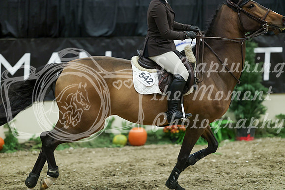 03806 - Mara - 2026 Royal West - Friday October 16th