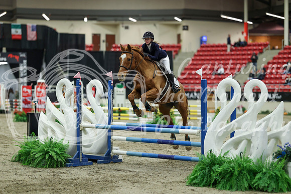 01419 - Mara - 2026 Royal West - Saturday October 2th